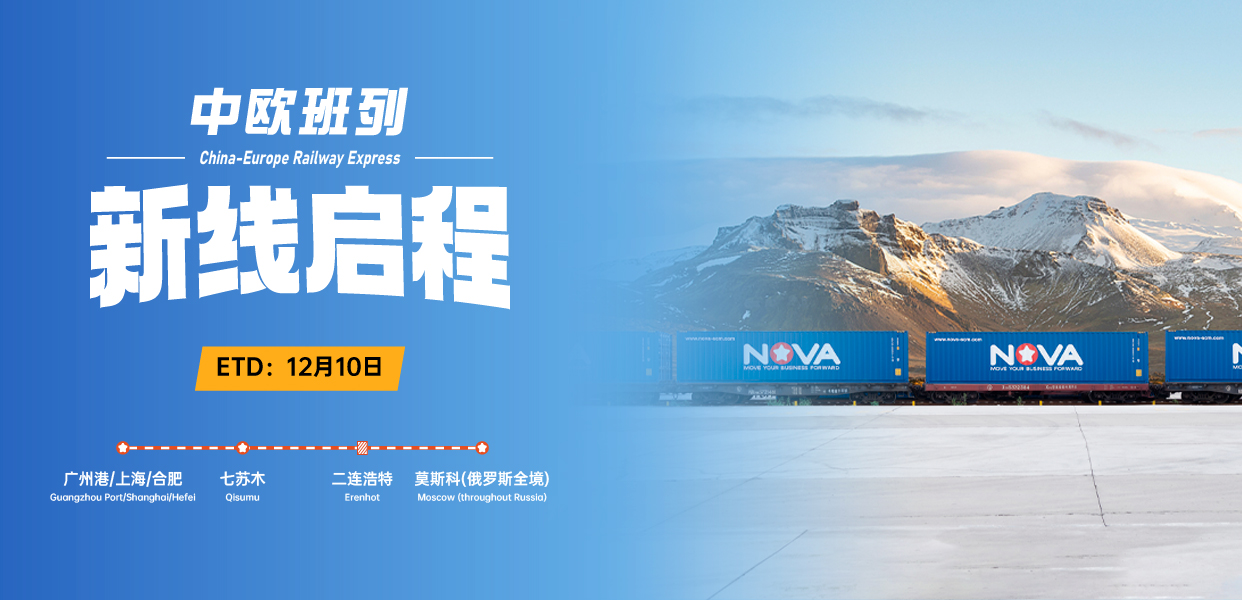 1731664333364848.jpg 七蘇木-官網(wǎng)_畫板 1(1).jpg